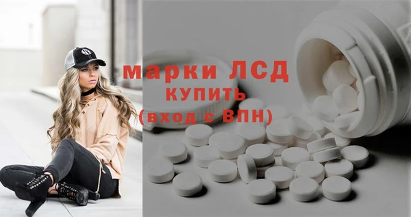 apvp Алексин