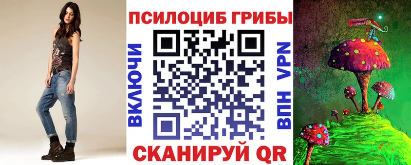 Псилоцибиновые грибы GOLDEN TEACHER  наркошоп  Енисейск 